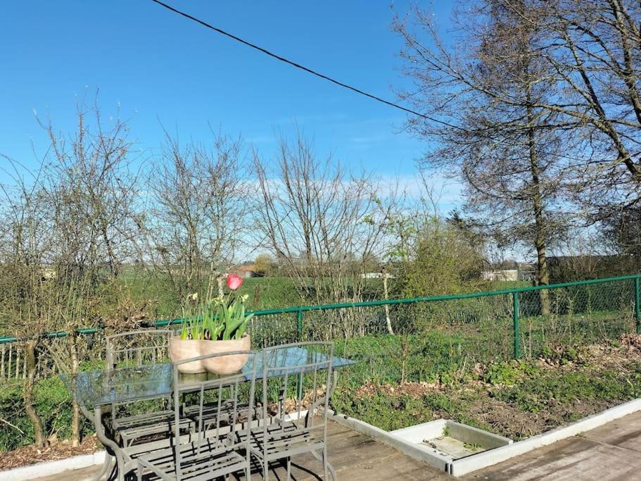 Gite Rural La Ferme Du Semeur-Zaaiershof Lessines 外观 照片