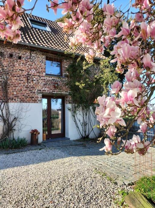 Gite Rural La Ferme Du Semeur-Zaaiershof Lessines 外观 照片