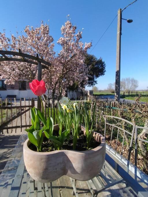 Gite Rural La Ferme Du Semeur-Zaaiershof Lessines 外观 照片