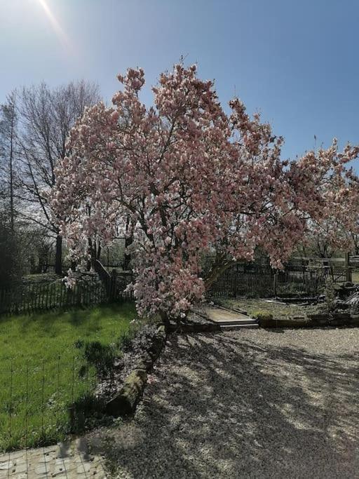 Gite Rural La Ferme Du Semeur-Zaaiershof Lessines 外观 照片