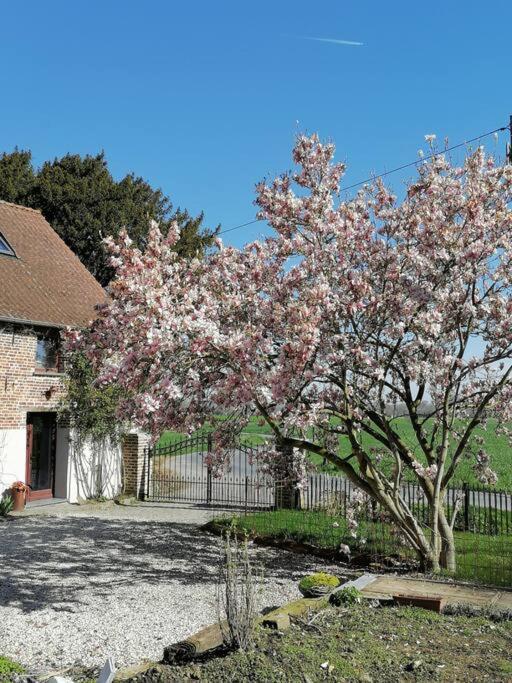 Gite Rural La Ferme Du Semeur-Zaaiershof Lessines 外观 照片
